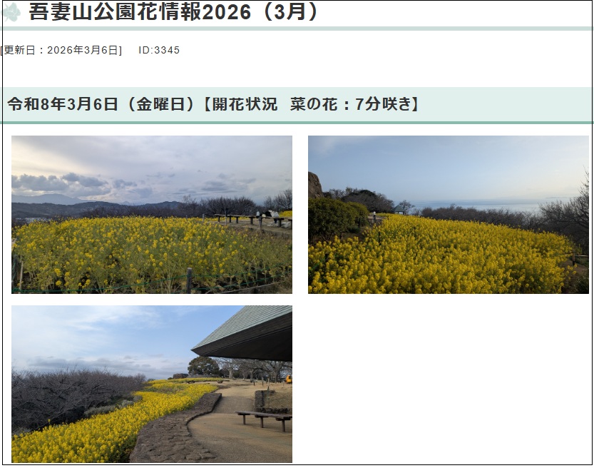 画像の説明 画像の説明